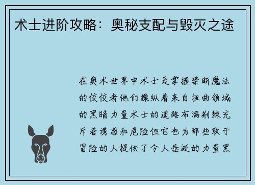 术士进阶攻略:奥秘支配与毁灭之途